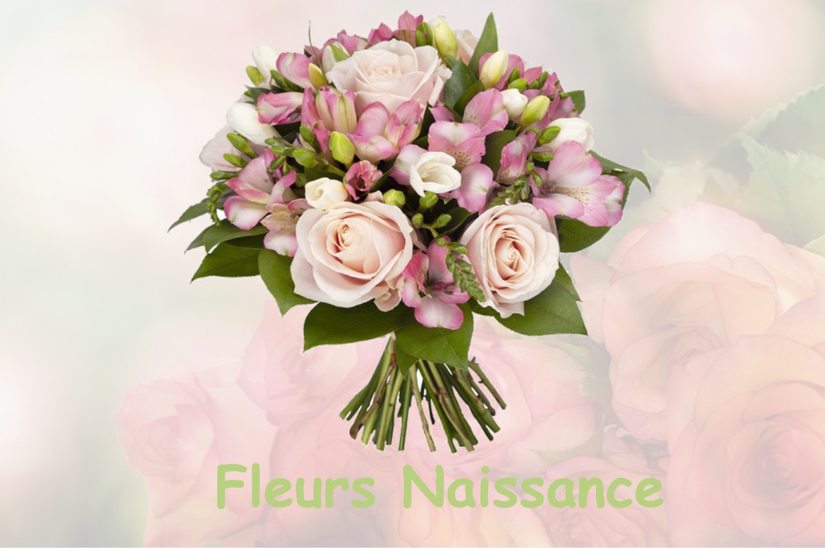 fleurs naissance MARCILLAC-SAINT-QUENTIN